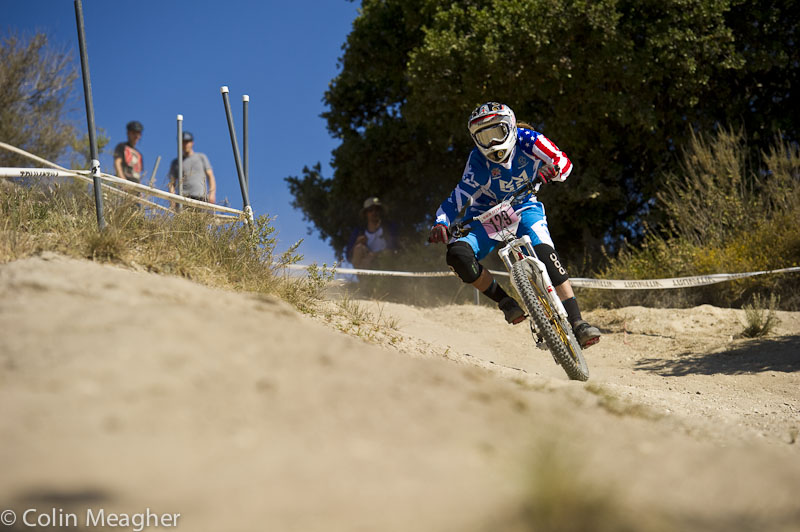 Sea Otter 2013