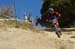 Sea Otter 2013