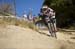 Sea Otter 2013