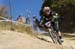 Sea Otter 2013