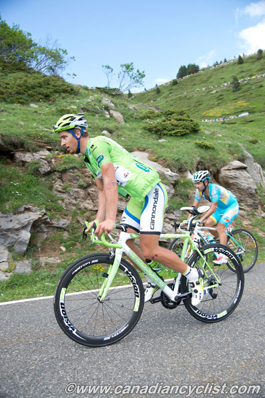 tdf