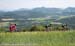 2013 Tour de France