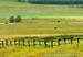 Tour of Alberta