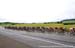 Tour of Alberta