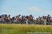 Tour of Alberta