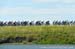 Tour of Alberta