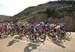 Tour of Alberta