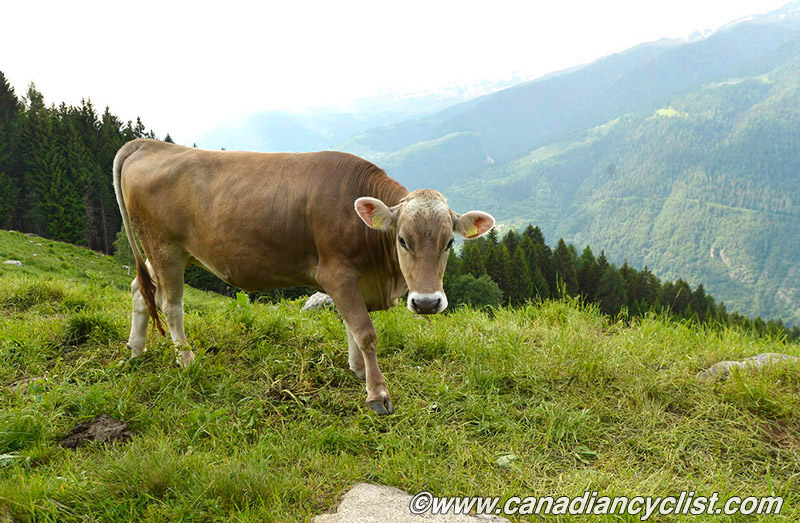 Val di Sole World Cup