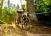 Val di Sole World Cup
