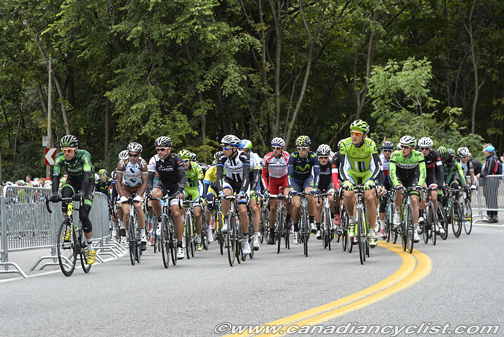 GPCQM 2014