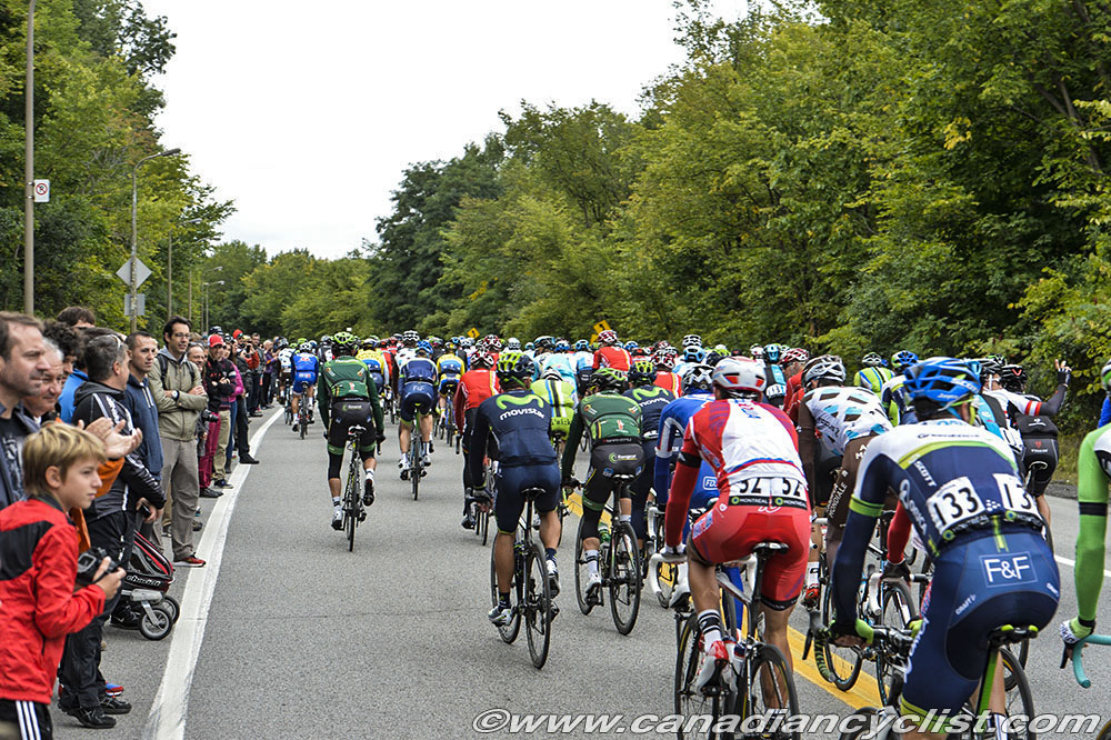 GPCQM 2014