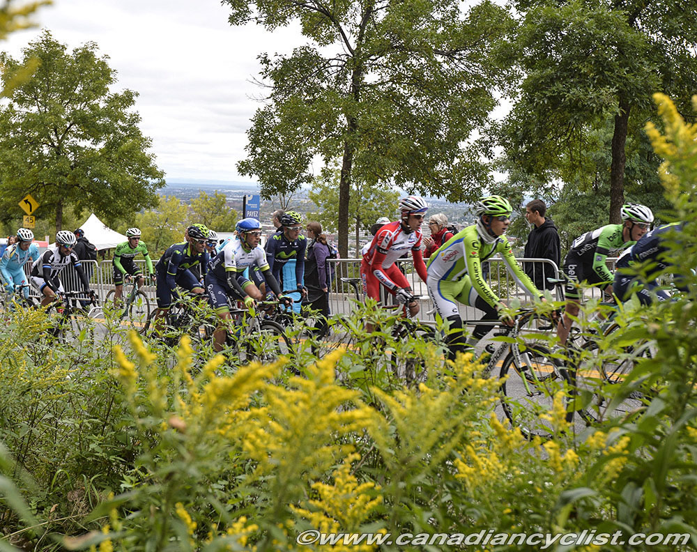 GPCQM 2014