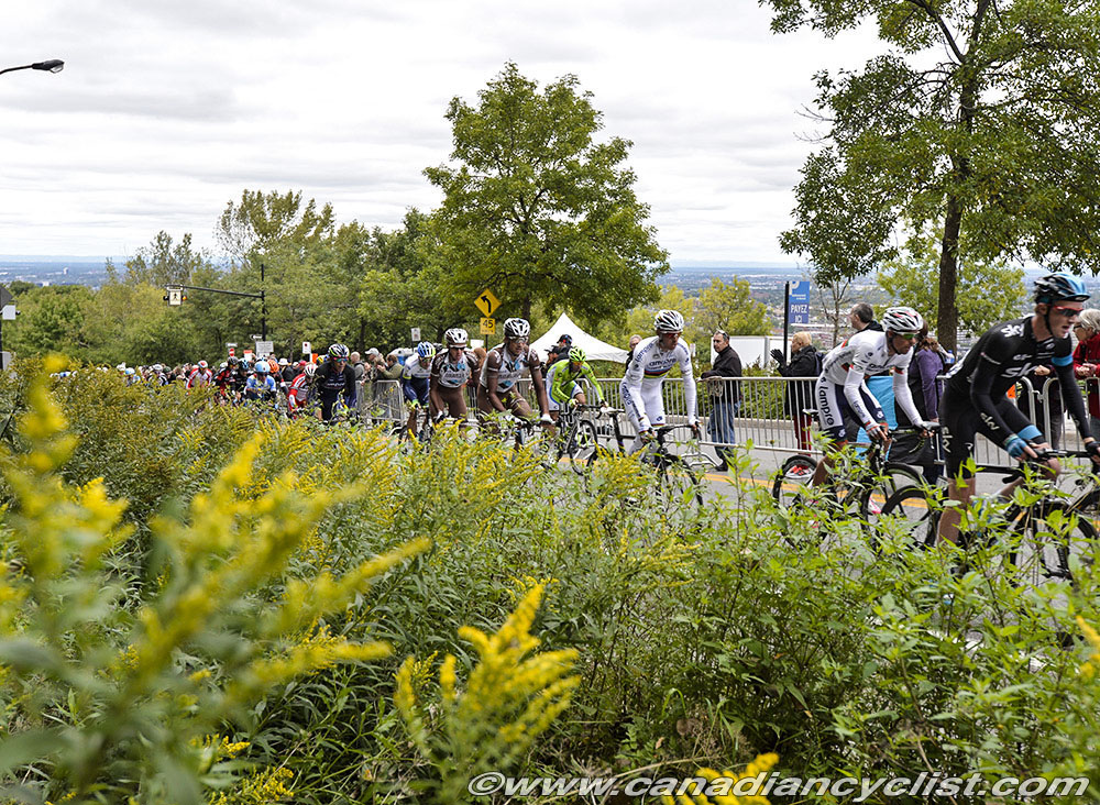 GPCQM 2014