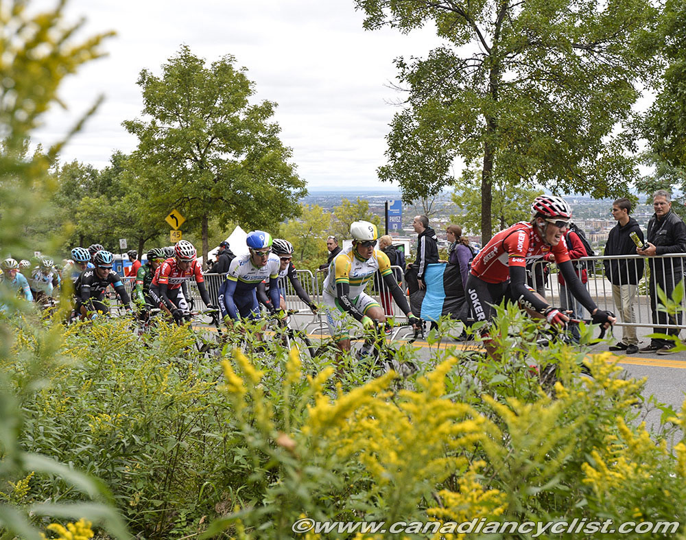 GPCQM 2014