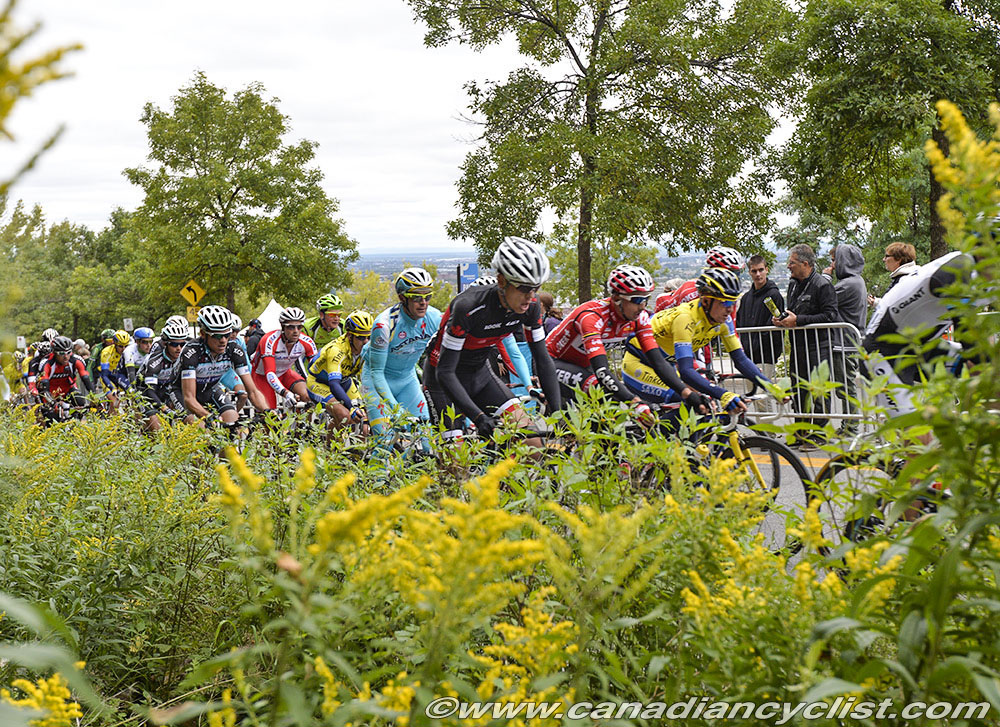 GPCQM 2014