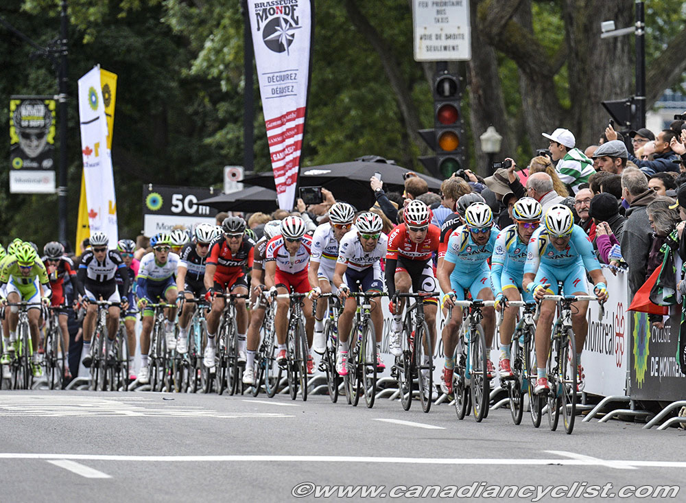 GPCQM 2014