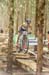 Mountain Bike World Cup #1, Pietermaritzburg, South Africa
