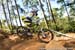 Mountain Bike World Cup #1, Pietermaritzburg, South Africa