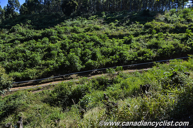 Mountain Bike World Cup #1, Pietermaritzburg, South Africa