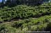 Mountain Bike World Cup #1, Pietermaritzburg, South Africa