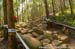Mountain Bike World Cup #1, Pietermaritzburg, South Africa
