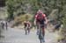 Silver City's Tour of the Gila, 2014