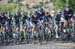 Silver City's Tour of the Gila, 2014