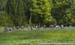 Windham World Cup