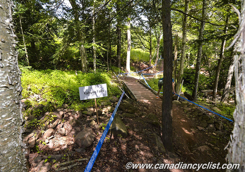 Windham World Cup