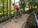 Windham World Cup