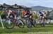 Windham World Cup