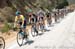 Amgen Tour of California, 2014