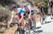 Amgen Tour of California, 2014