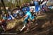 cxworlds