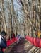2013 Cyclo-cross World Championships