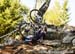 MTB World Championships Norway