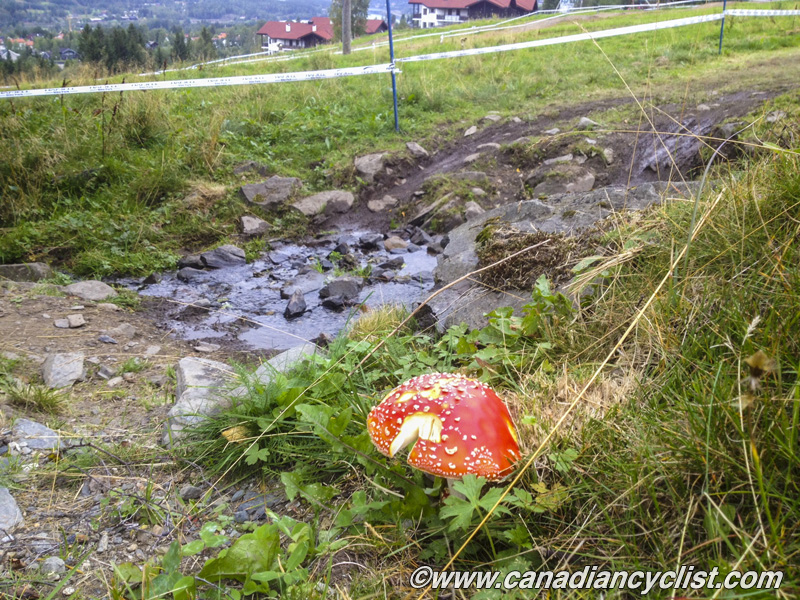mtbworlds