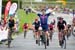 roadnats