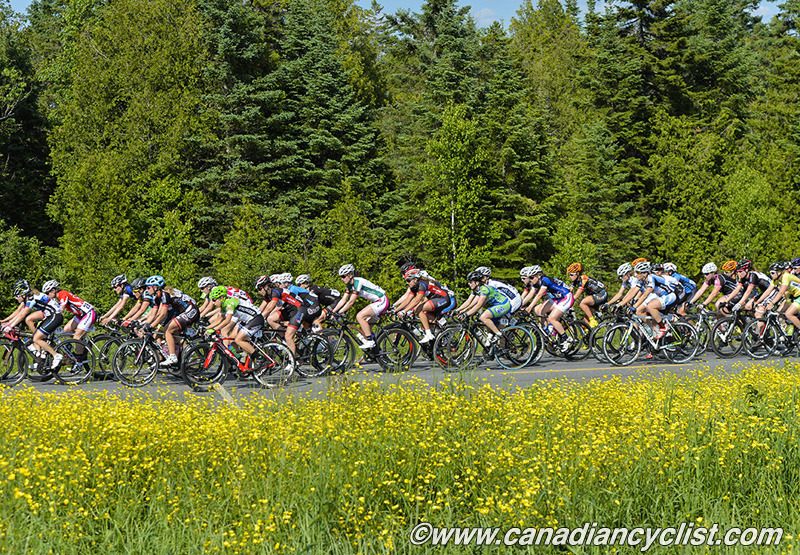 2014 Road Nationals