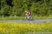 2014 Road Nationals