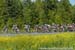 2014 Road Nationals