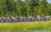 2014 Road Nationals