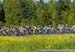 2014 Road Nationals