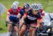 roadnats