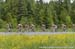 2014 Road Nationals