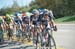 Tour of Alberta, 2014