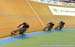 2014 Track World Championships, Cali COL