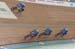 CALI_TrackWC