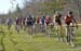 2015 Ontario CX Provincials