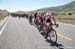 Silver City's Tour of the Gila, 2015